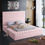 Thumbnail:  Velvet Pink Bed King Size 