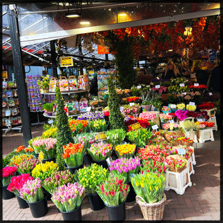 Flower shop in Amsterdam
