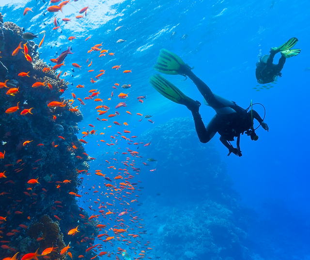 Scuba Diving