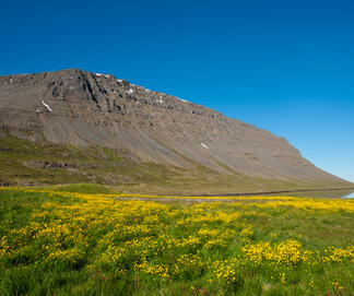 West Fjords