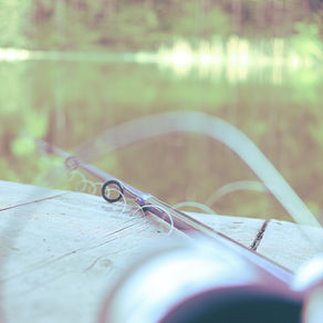 Robert Browning Hayter, Jr