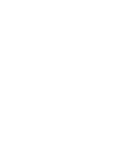 SS_logo.gif