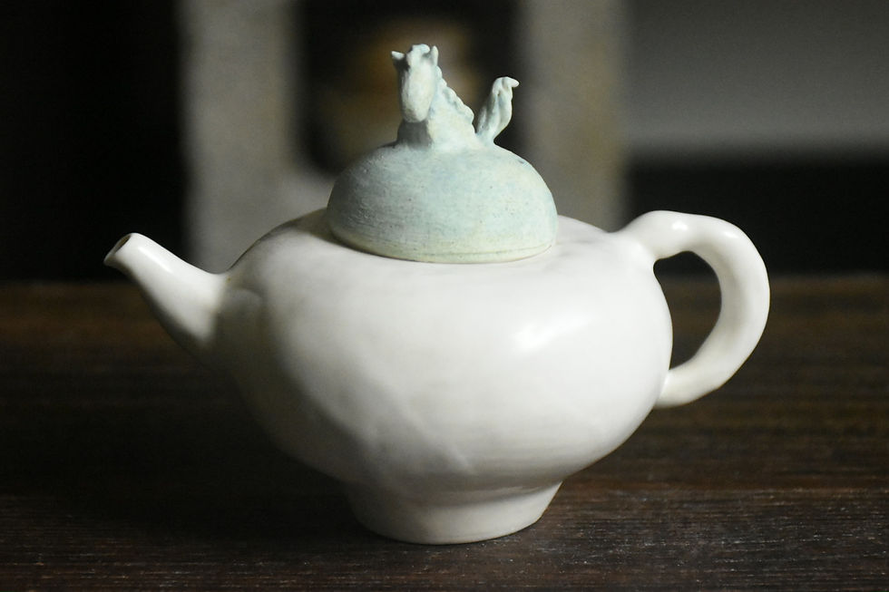 春駒 — 茶壺｜如洗 ASPURECERAMICS｜IMG_1773.JPG