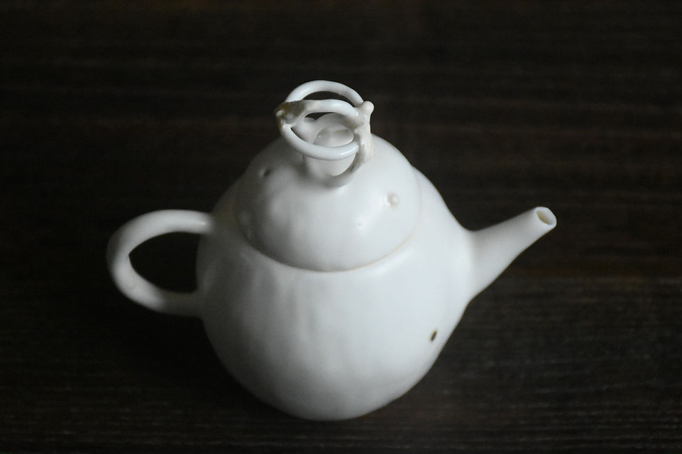 環環 — 茶壺｜如洗 ASPURECERAMICS｜IMG_1723.JPG