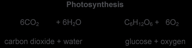 577db9bb732e9f44a2050258b46c8a70.jpg