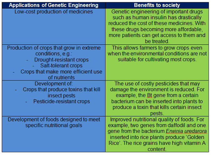 applications of genetic.PNG