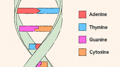 80a31b75-0b4c-41b1-a68b-1abdb46c1476-dna