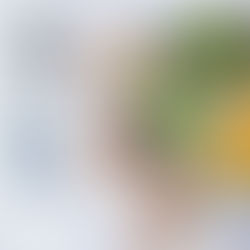 Magnésio e suas funções