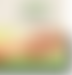 Nasce o Instituto SeneS de Fisioterapia e Acupuntura