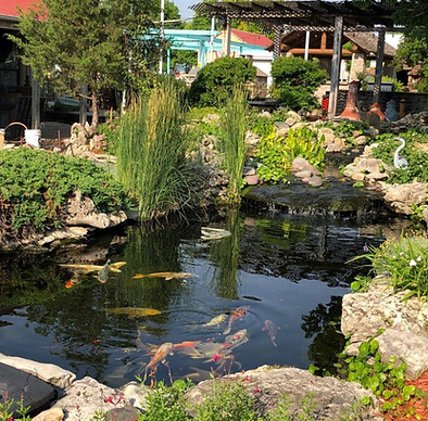 Dino-Pond-1024x768.jpg