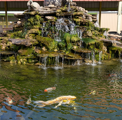 Hardscapes - Anderson-25.jpg