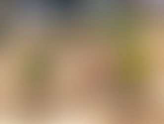 Praça São Brás, em Arraial D'Ajuda, é totalmente revitalizada