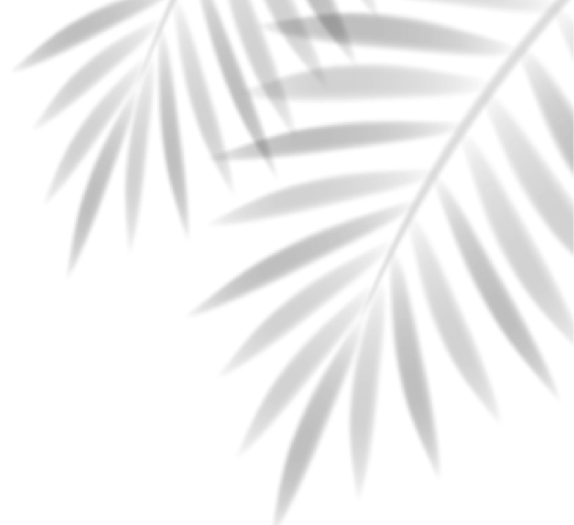 —Pngtree—natural shadow of tropical leav