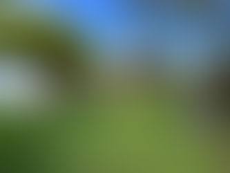 Zwei Einfamilienhäuser zum Preis von einem in Offenau zu verkaufen.