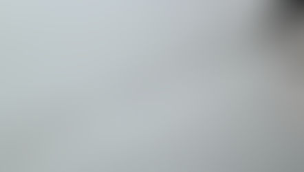 The Facts About Facts for Product Teams