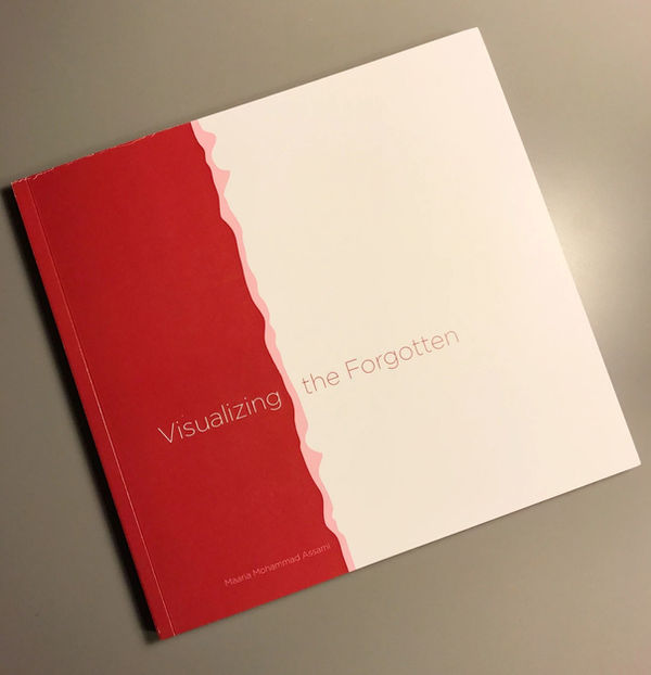 Visualizing the Forgotten