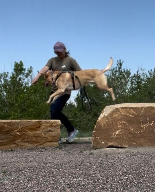 Gus and I using some rocks for a fun agility session!