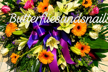 59B86C81-B567-4471-B77A-F58BFE60BFF5.PNG
