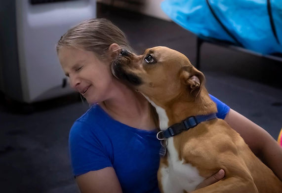 Olive the boxer mix giving kisses