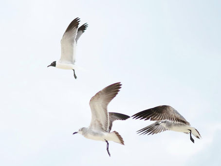 A szenvedés igazsága