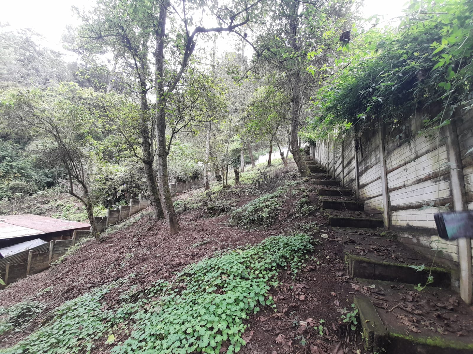 El Manzanillo | Granja | Mixco