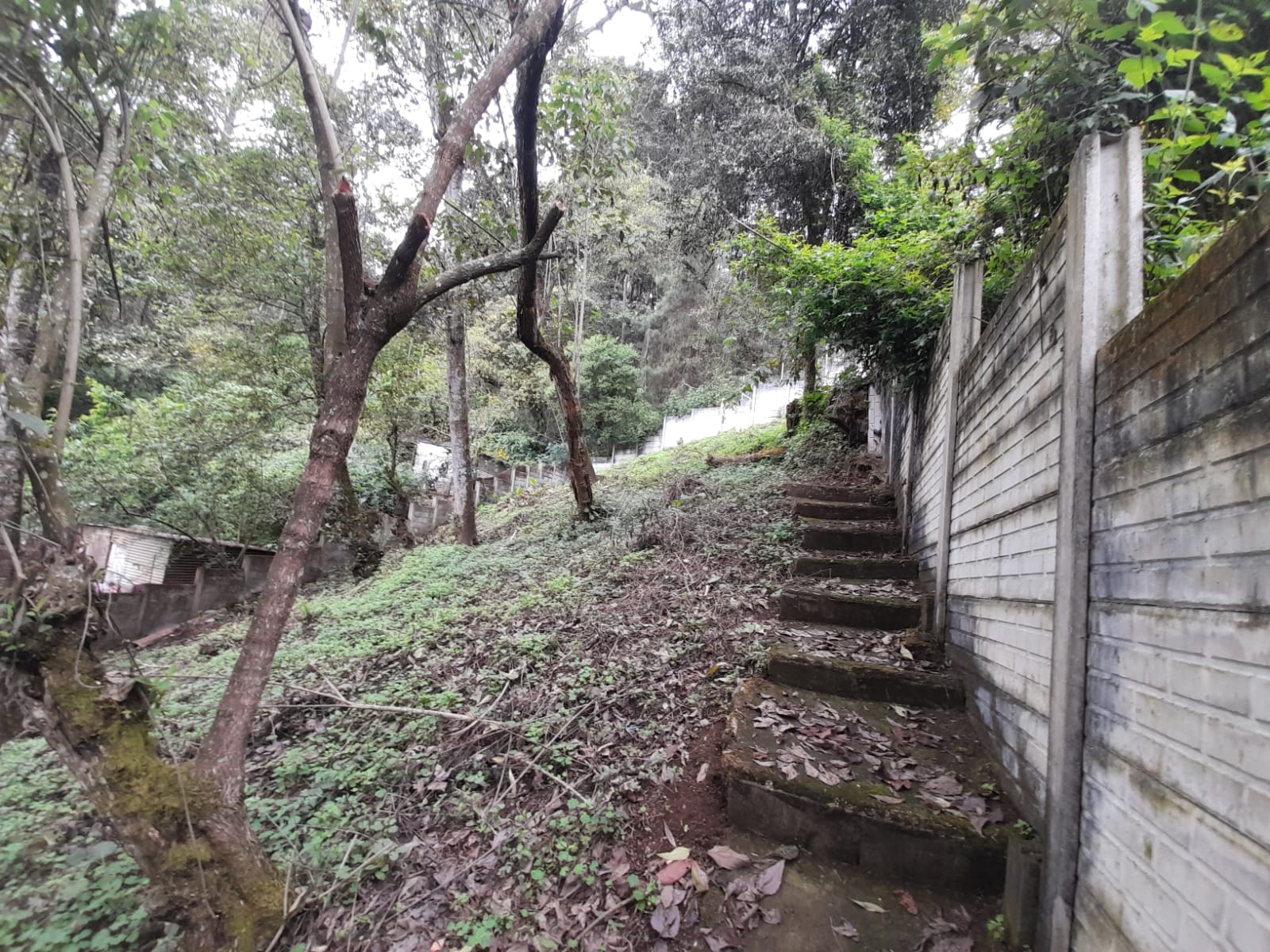 El Manzanillo | Granja | Mixco