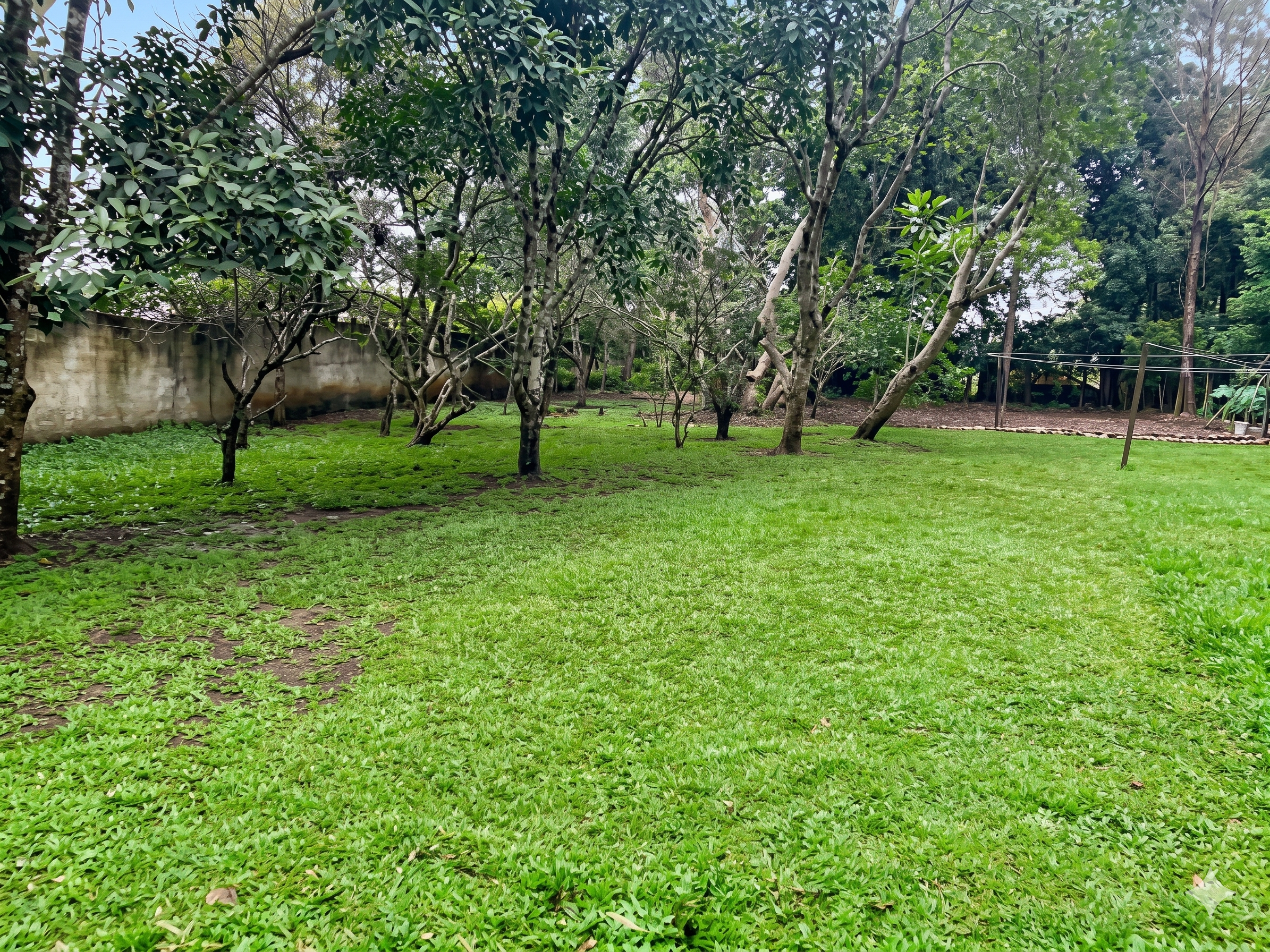 Residencia Exclusiva con Amplio Terreno en San Rafael II, Carretera a El Salvador