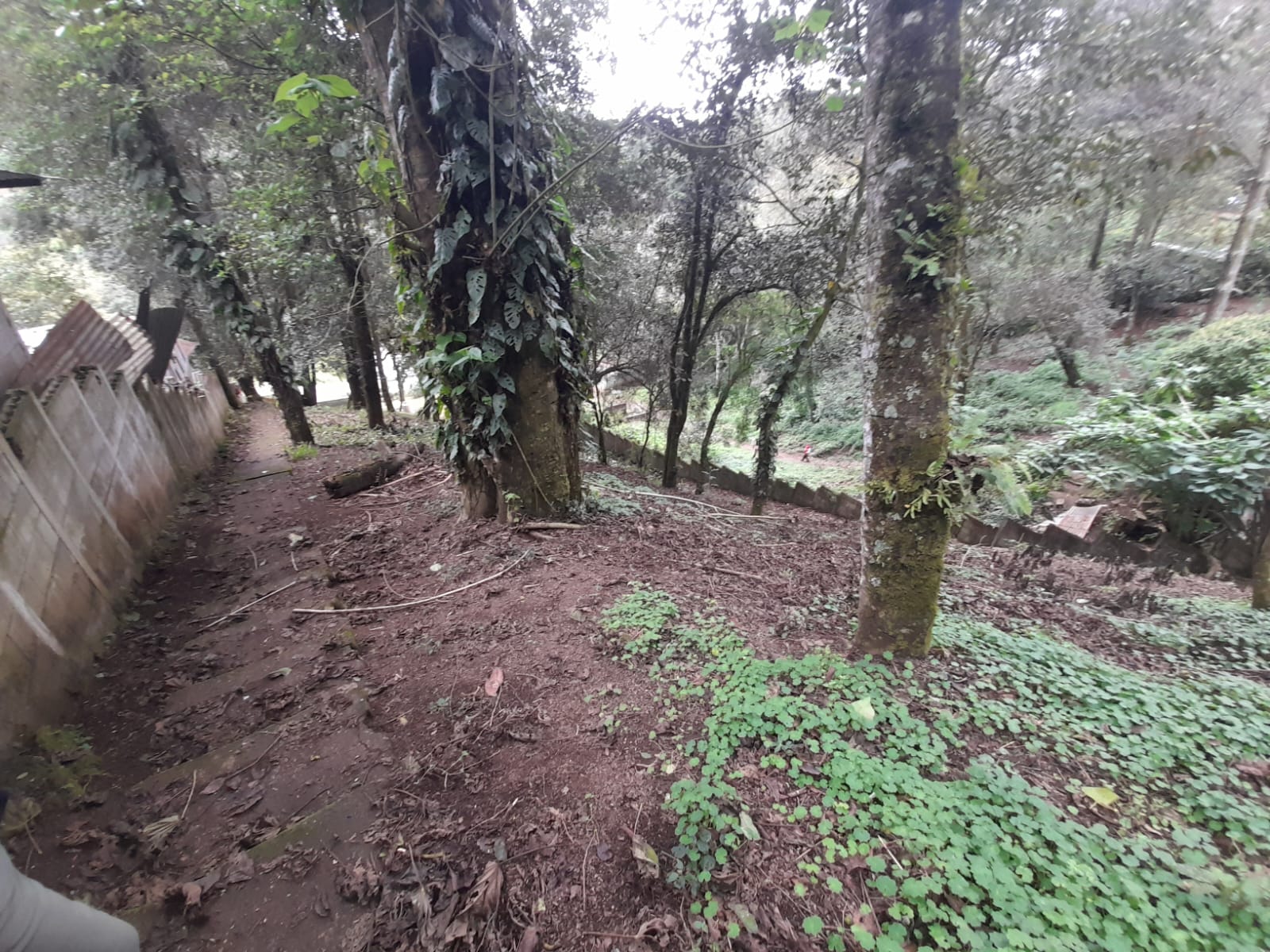 El Manzanillo | Granja | Mixco