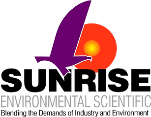 cambio de color del logotipo v1.png