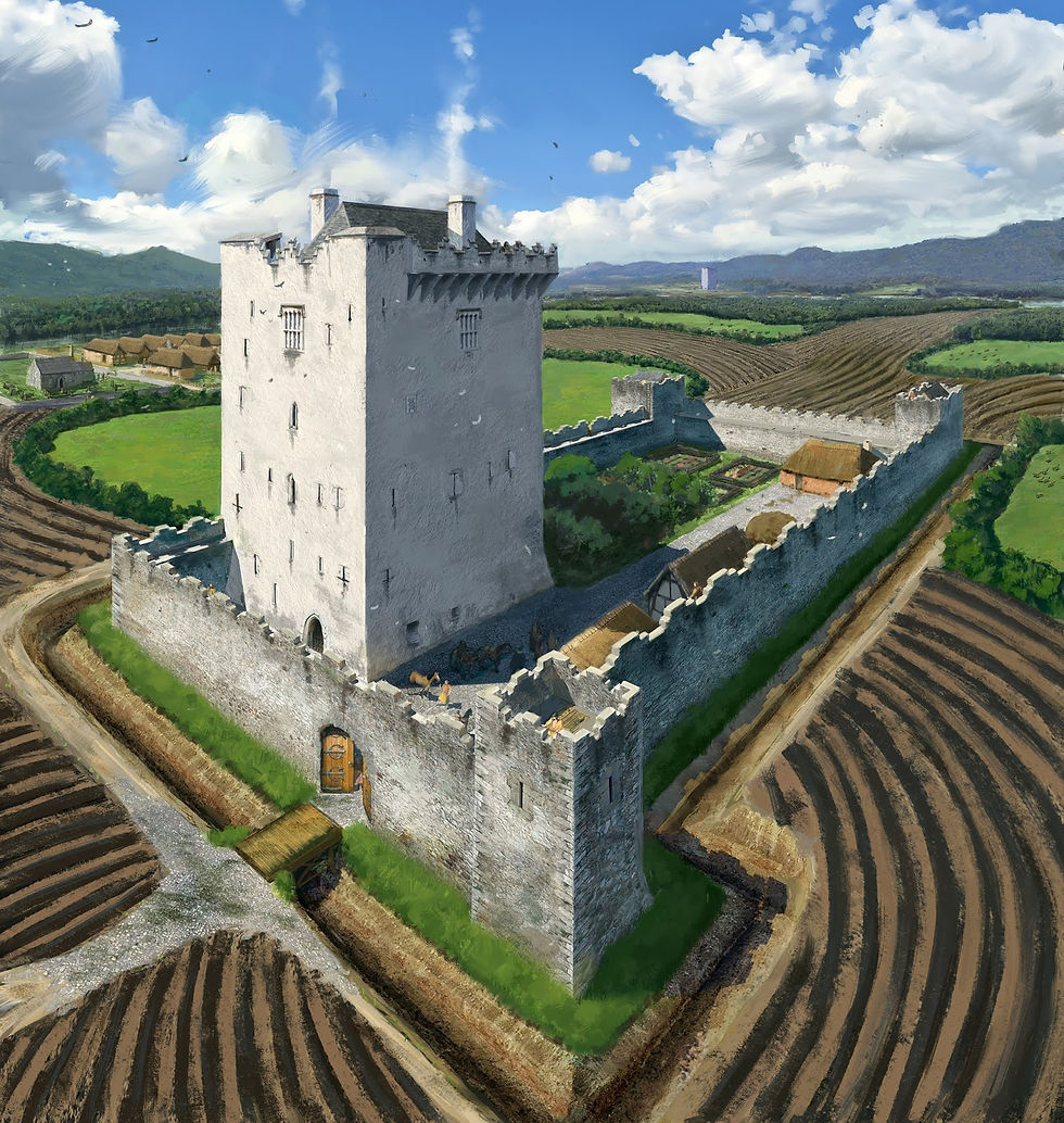 Tower house with bawn and adjacent settlement. JG O’Donoghue.