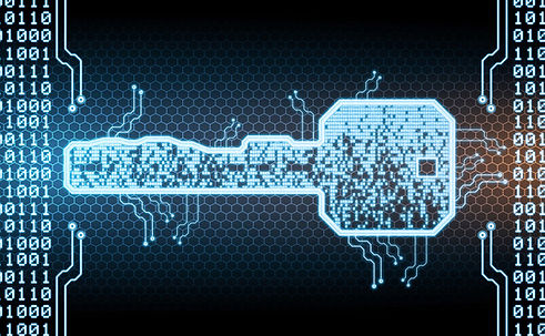 network matrix