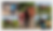 complilatie MM 2.png