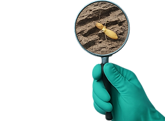 Imagen de WhatsApp 2025-05-07 a las 13.29_edited.png