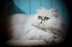 Mélodie