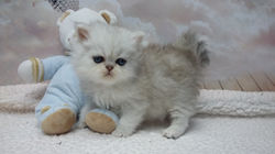 1mois <3