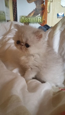 2mois