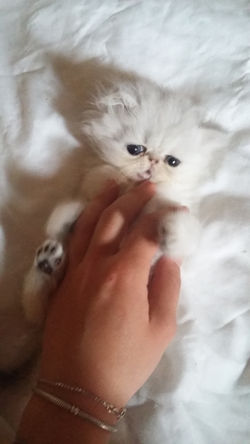 2mois