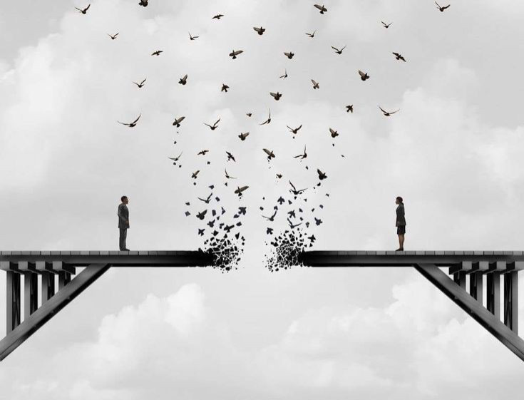 WILD - The conclusion to the ANIMAL saga