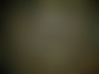 GONE: The ANIMAL saga continues