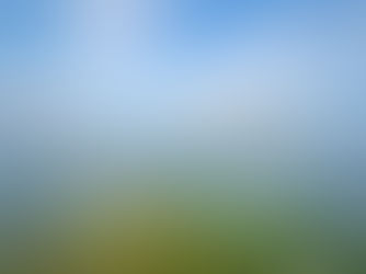 NO PONE EN PELIGRO A TURISTAS EL MAR VERDE DE ZIHUATANEJO; ES UNA MICROALGA