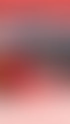 Nada confirma el asesinato de los 43. 7 NOTICIAS 7 REGIONES