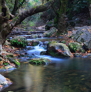 Rivière à l'automne