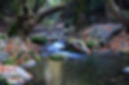 River in Autumn