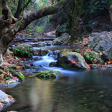 River in Autumn