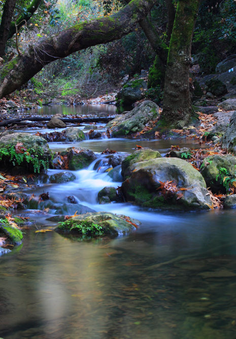 River in Autumn