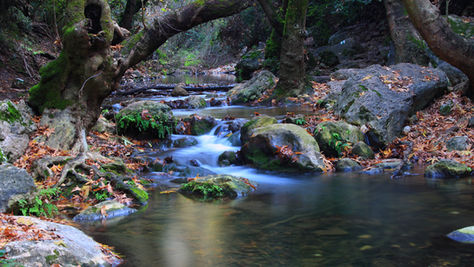 Self-Care on a Budget