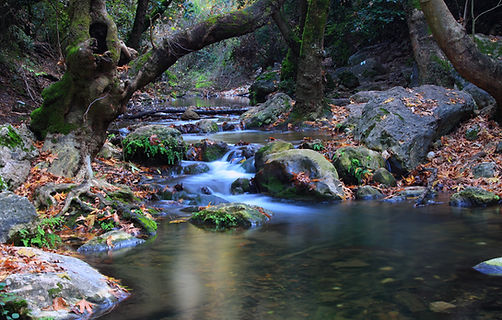 River in Autumn