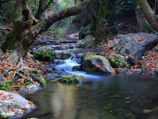 Disimballare la Hollyhock House di Frank Lloyd Wright: uno sguardo a forma e funzione attraverso la cultura pop - What is special about Frank Lloyd Wright houses?