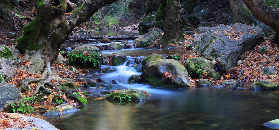 River in Autumn