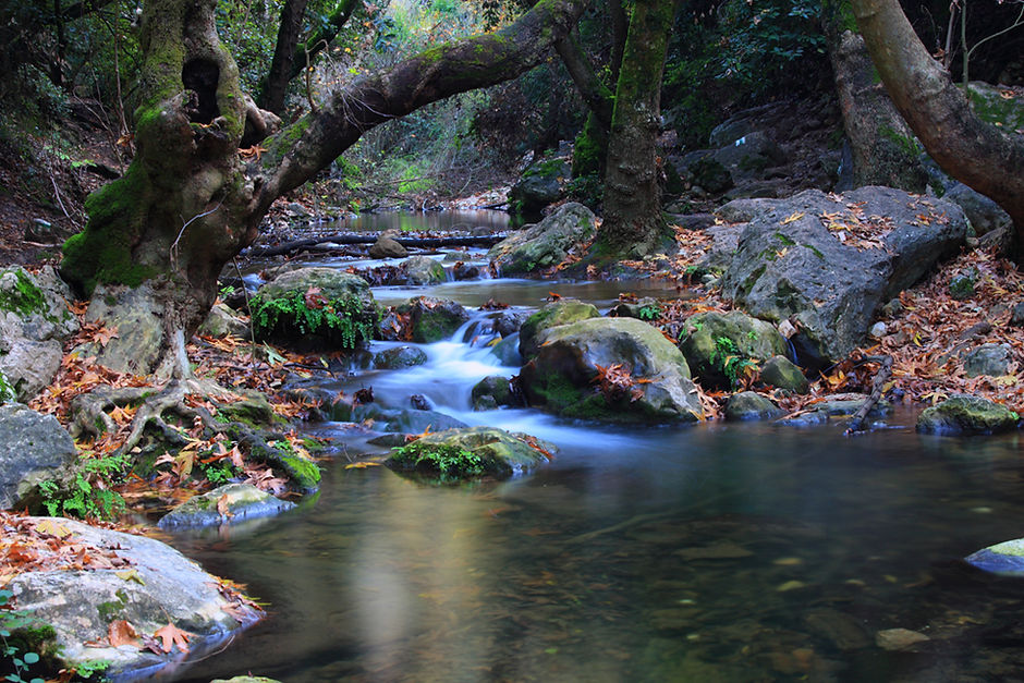 Fiume in autunno 